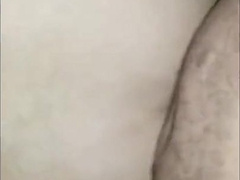 Black Bear Breeds Latino Twink 6