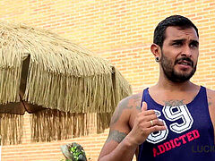 Gay, big cock, muscle