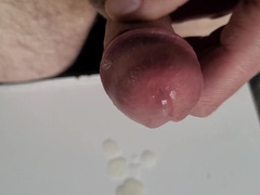 Begging and nibbling have fun, cute with