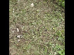 Exhib naked caught by a passing car