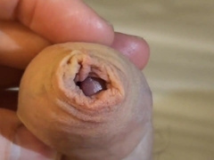 Ma queue en gros plan 122