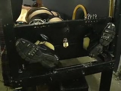 Italian tickle bear Pt 2