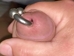 Morning glory sticky cock