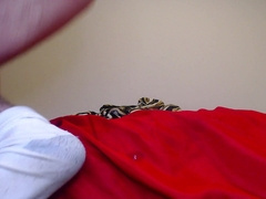 Going Knuckle Deep with fat plaything arm and nutting rock-hard after beating testicles - cccrrr