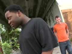 White & Black Homosexual Storyыы