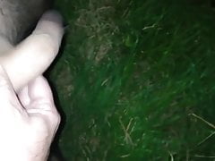 Wanking at night in field