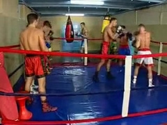 Seduction of a boxer