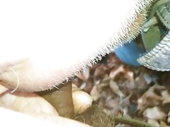 First time sucking a stranger in the woods