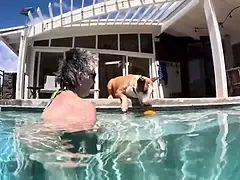 Leie, Bikini, Behaart, Selbstgemacht, Nackt, Im freien, Pool, Dusche