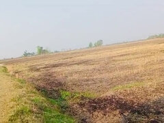 Desi Bhabhi RadhaDevi Pissing in Field Outdoor Hindi Webcam Masturbation