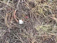 SCANDALOUSGFS - Misty Oral a rod and fumbling titties in Public