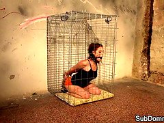 Big titted caged sub gets humiliated by maledom as he trims her up close
