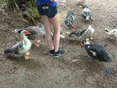 Amateur, Blonde, Sucer une bite, Pov, Public, Chatte, Rasée, Nénés