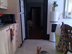 Enthousiasteling, Lesbisch, Slipje, Tiener