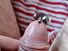 Sounding my cock up close