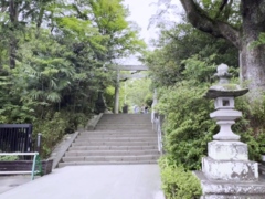 Amateur, Asiático, Mamada, Pajear, Hd, Japonés, Masturbación, Pov