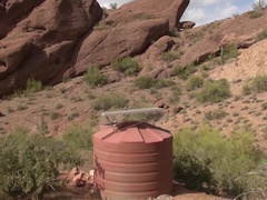 Любители, Ванна, Большие дырки, Волосатые, Лактация, Милф, От первого лица, Дразнящие