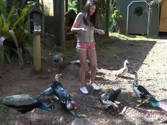 You tug on her nipples and she sucks your cock in the car.