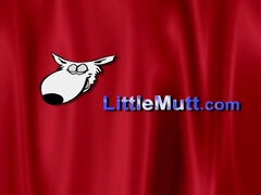 Mila is holding her gams raised high while her fresh beau is romping her messy brains out