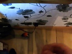 sissy stroking cock