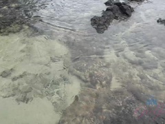 浴室, ビキニ, ブロンド, ふっくら乳首, 剃毛, シャワー, 靴下, タトゥー