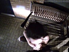 Public british babe cocksucking cop in car