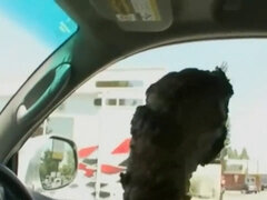 Noire, Sucer une bite, Queue, Énorme, Bite énorme, Mère que j'aimerais baiser, Monstre, Suçant