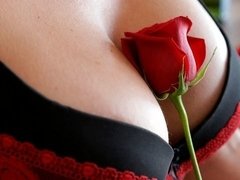 Kont, Grote kont, Blond, Handbeurt, Zoenen, Moeder die ik wil neuken, Kousen, Tieten likken