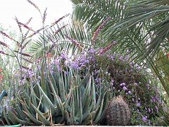 Braunhaarige, Masturbation, Pornostars