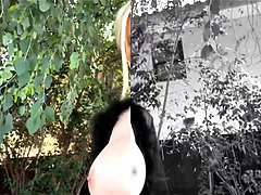 Grosser arsch, Grosser schwanz, Grosse titten, Kompilation, Milf, Mutti, Pov, Schreiend