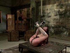 Lil tramp in suspension nailed (Mark Davis, Lyla Storm)