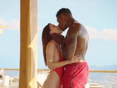 Bruinharig, Bedriegen, Hondjeshouding, Handbeurt, Man, Kut duiken, Rijden, Tiener