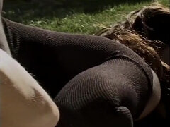 Kont, Zwart, Bruinharig, Zwart, Hd, Hakken, Buiten, Kut duiken