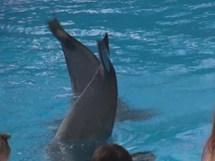 素人, 茶髪の, 彼女, オナニー, ふっくら乳首, 剃毛, オッパイの, おもちゃ