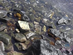 Strand, Bruinharig, Daddy, Vingeren, Masturbatie, Orgasme, Openbaar, Mager