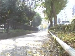 Aziatisch, Japaans