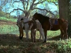 Hardcore, Orgie, Vintage