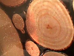 Arsch, Grosse titten, Schwarz, Fingern, Hd, Masturbation, Muschi, Dusche
