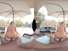 3d, Большие сиськи, Брюнетки, Сборник, Член, Хд, Реалити, Чулки