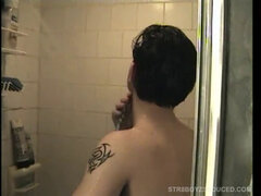 Leie, Blasen, Behaart