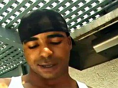 Verga grande, Negro, Ébano