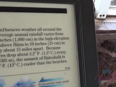 Любители, Эксгибиционист, Подружка, Мастурбация, На природе, От первого лица, На публике, Влажная
