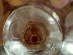 Lieveling, Blond, Eerste keer, Hardcore, Zoenen, Lesbisch, Masturbatie