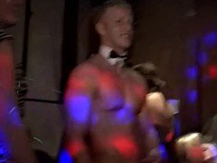 Amateur, Mamada, Grupo, Sexo duro, Chupando