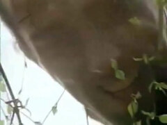 Kont, Mooie dikke vrouwen, Pijpbeurt, Rondborstig, Sperma shot, Schattig, Frans, Orgasme