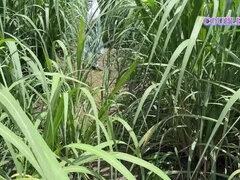 18 jaar, Enthousiasteling, Mooi, Hondjeshouding, Hardcore, Kut duiken, Ruw, Strak