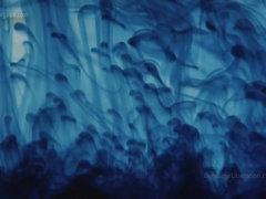 Cul, Bondage domination sadisme masochisme, Gros cul, Bondage, Femme dominatrice, Mère que j'aimerais baiser, Maîtresse, Nénés