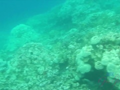 素人, 中出し, 足コキ, 手コキする, アウトドア, ハメ撮り, 公共, 濡れ