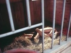 9 Lives Of A Wet Pussy Cat 1976. Great classic by Abel Ferrara