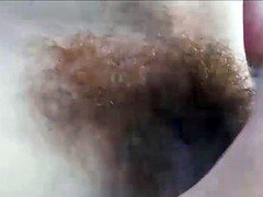 Flashing, Hairy, Redhead